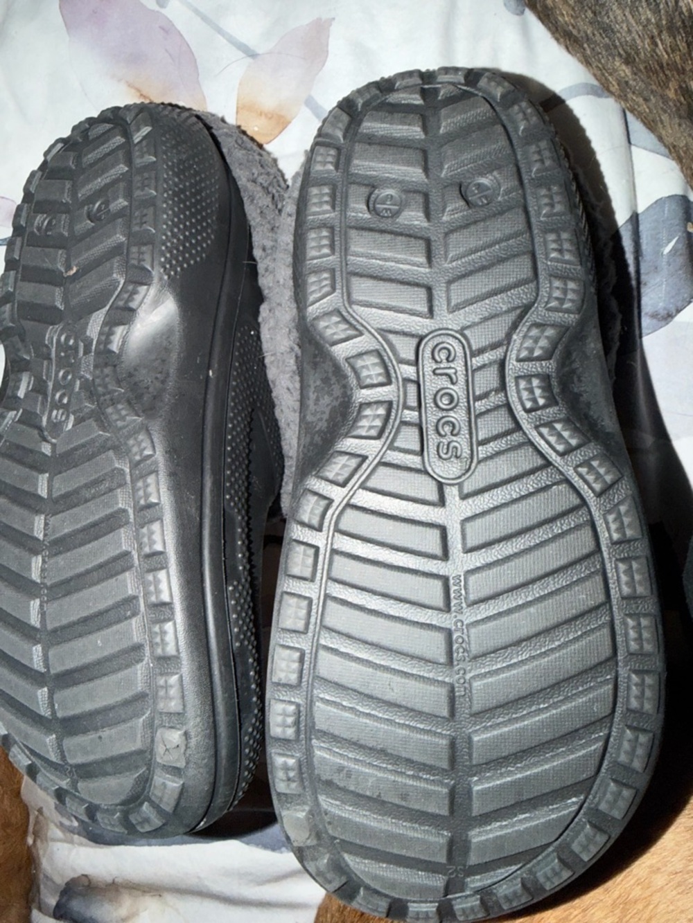 Croc - Picture 2 of 3